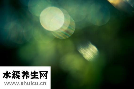 為什么頭頂會(huì)痛