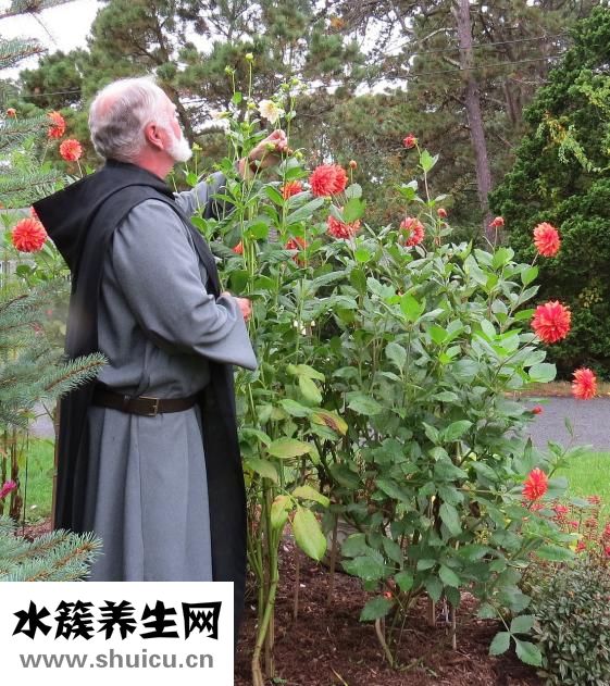 千里追風(fēng)油