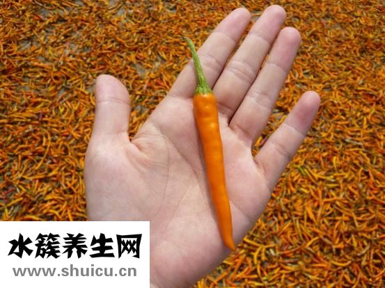 天然色素有哪些