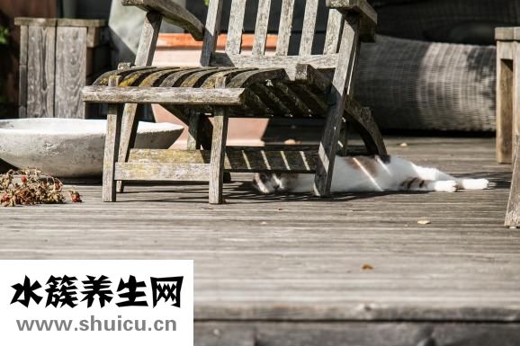 十二指腸淤滯癥