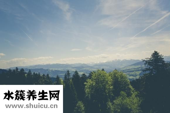 什么人不能吃阿膠