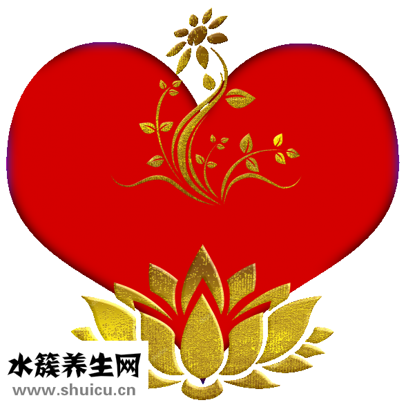 心理控制術(shù)