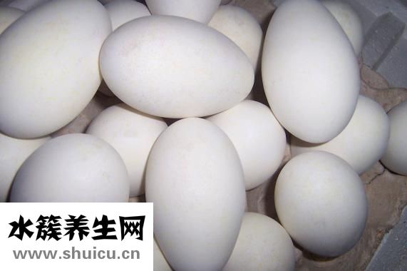 一個鵝蛋的熱量