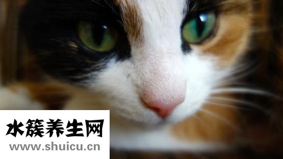 怎么去除雙下巴