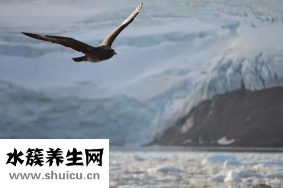 什么時候洗澡最好