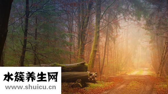 什么人不能吃阿膠