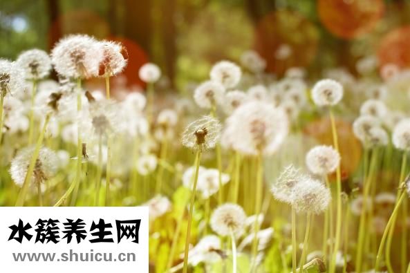 為什么頭頂會(huì)痛