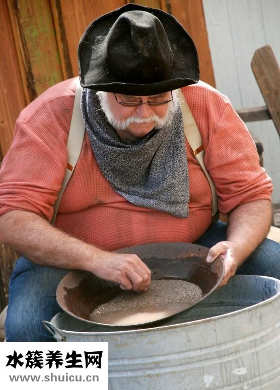 雙甘油脂肪酸酯