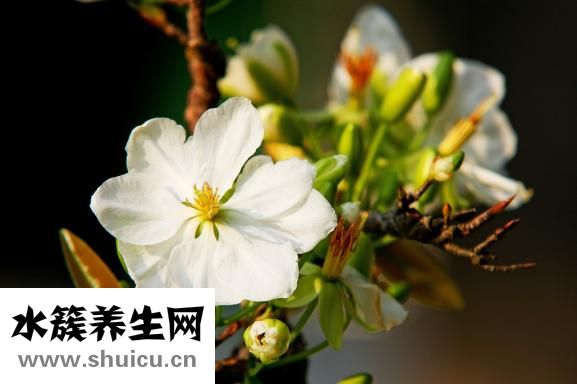 五谷雜糧養(yǎng)生粥