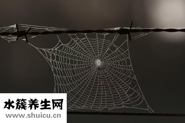 怎么會得艾滋病