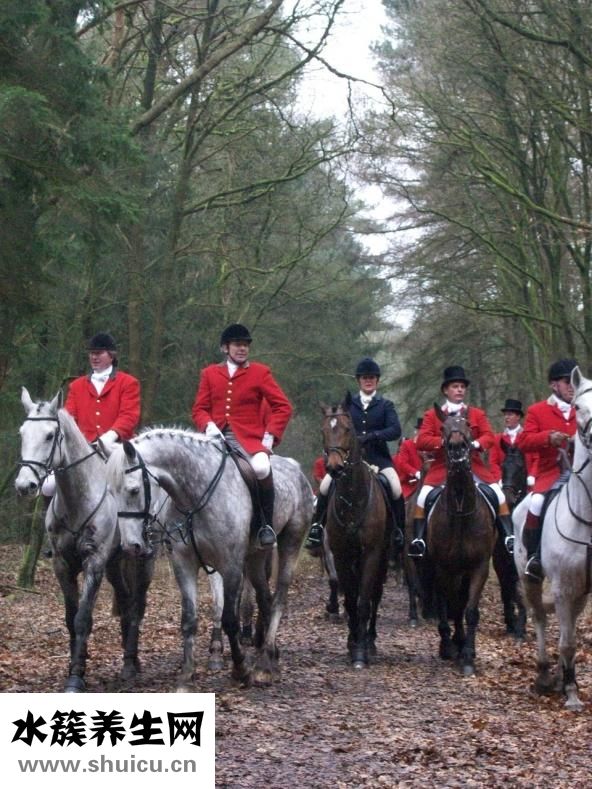 手術后能吃海鮮嗎