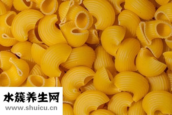 扇貝的營養價值