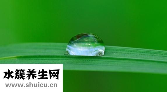 如何緊致臉部皮膚