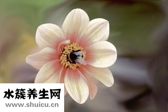 怎么可以治腳臭