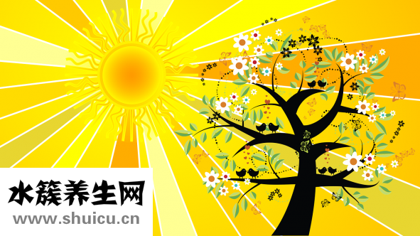 頭發打結怎么辦