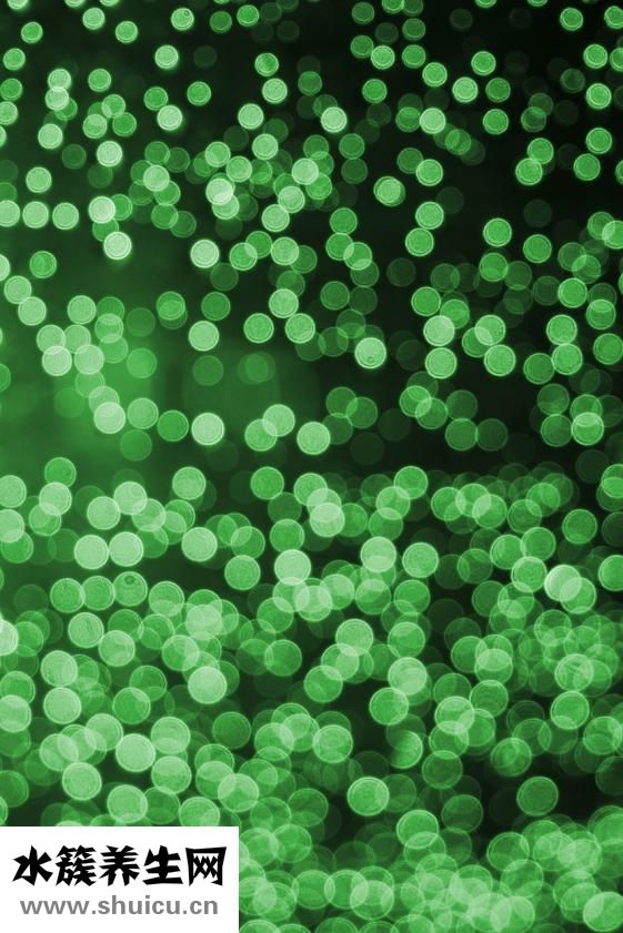 孕期可以吃西梅嗎