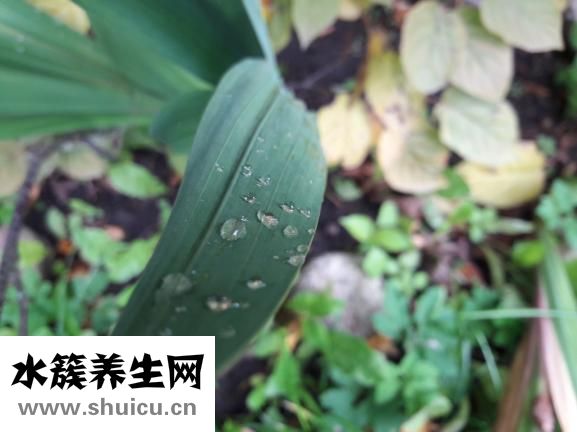 怎么會得艾滋病