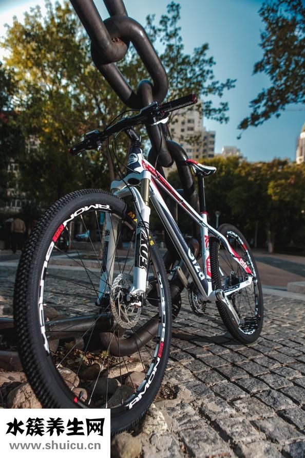 一杯牛奶的熱量