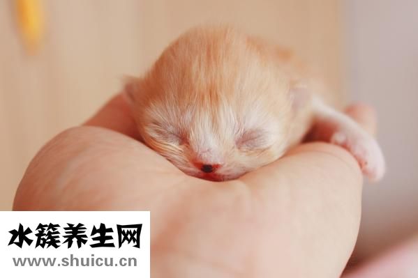 小孩說話比較晚