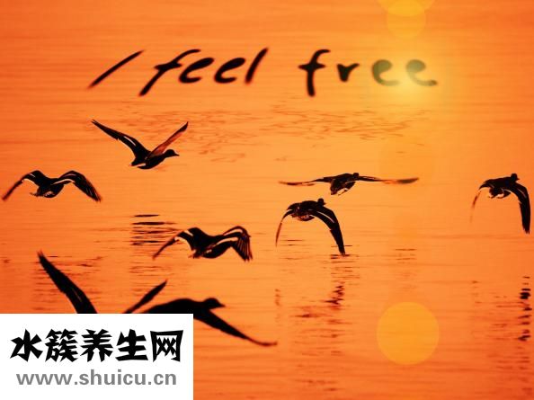 一兩米飯的熱量