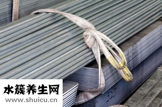 養肝的茶有哪些