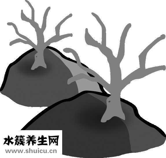 晚上餓了吃什么