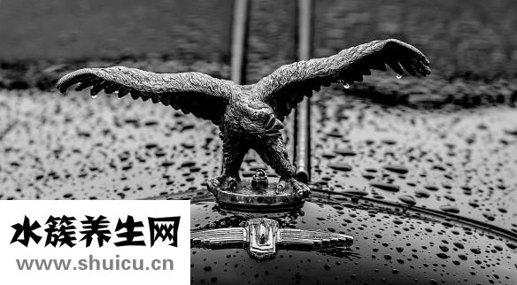 五味消毒飲組成