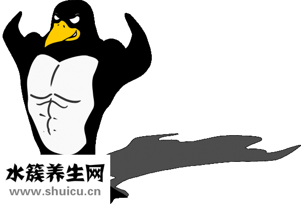 小腿圍多少算細