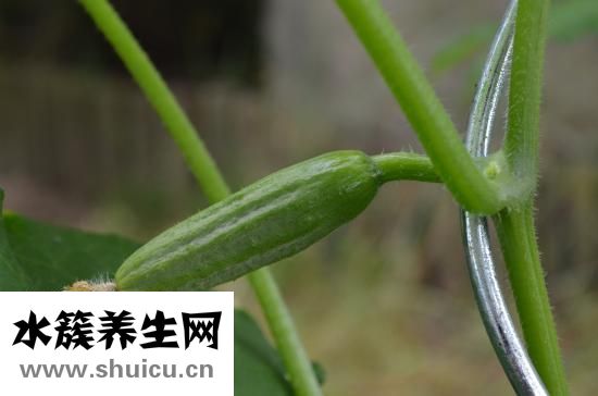 怎么讓下面變粉