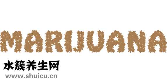 延更丹的功效與作用