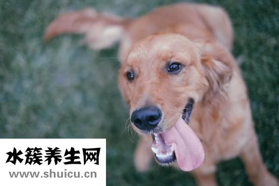 喉嚨發炎怎么辦