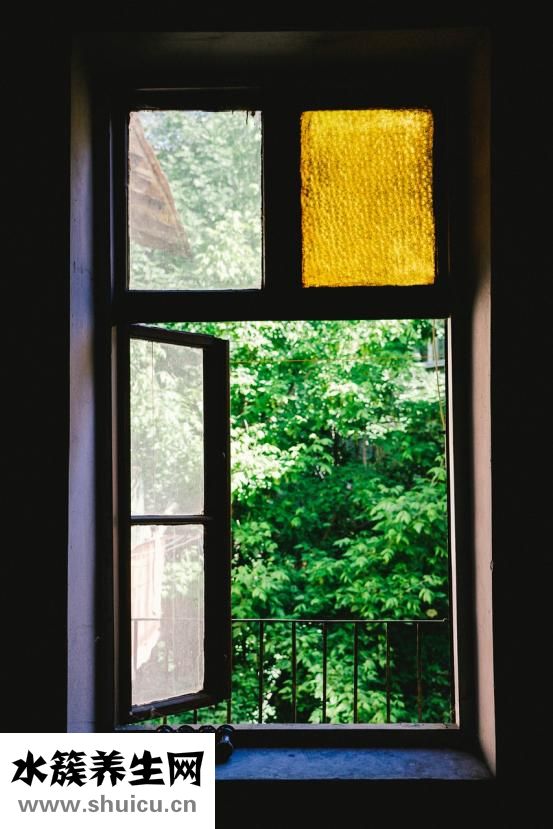 頭部骨骼結(jié)構(gòu)圖