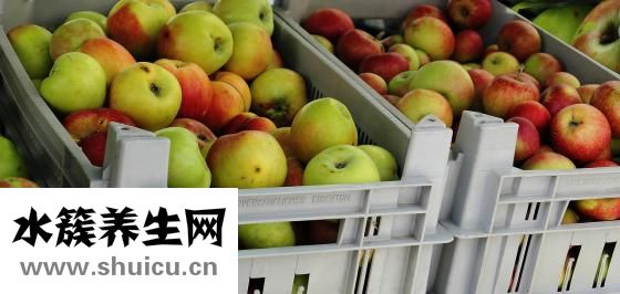 圣女果能減肥嗎