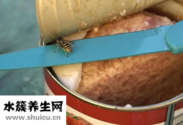 怎么減肥不反彈