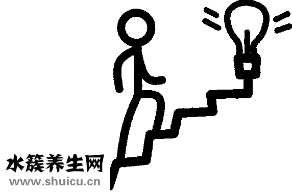 娃娃菜怎么做好吃