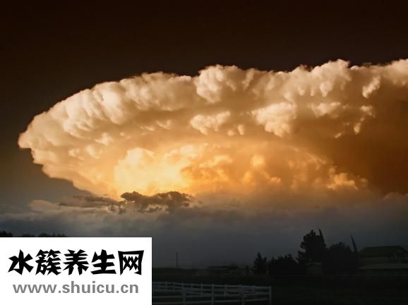 體外受精的危害