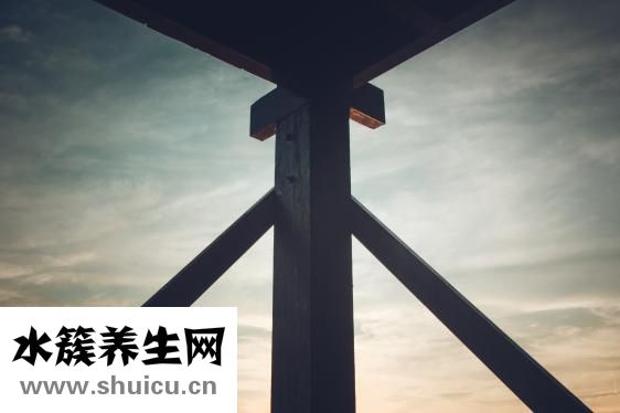 頭部骨骼結(jié)構(gòu)圖