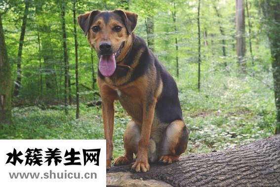 喉嚨發炎怎么辦