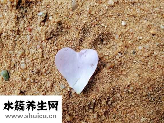 什么是心臟造影