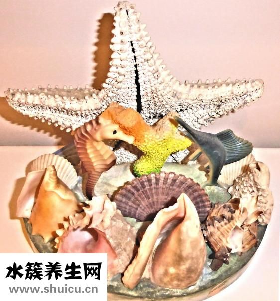 怎么瘦脖子和下巴