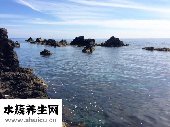 什么是經(jīng)絡(luò)