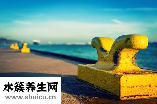 孕婦能喝蘇打水嗎