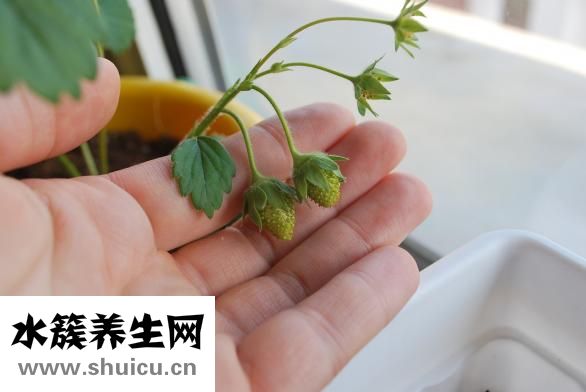 新生兒睡覺時間