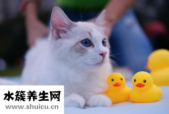 怎么瘦脖子和下巴