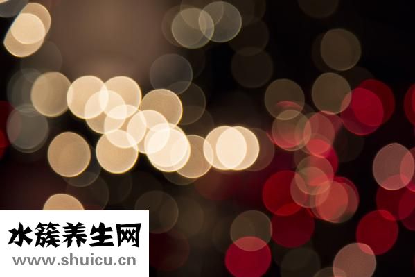 壽眉茶的功效與作用