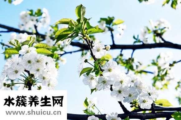 頭發軟化前后效果圖