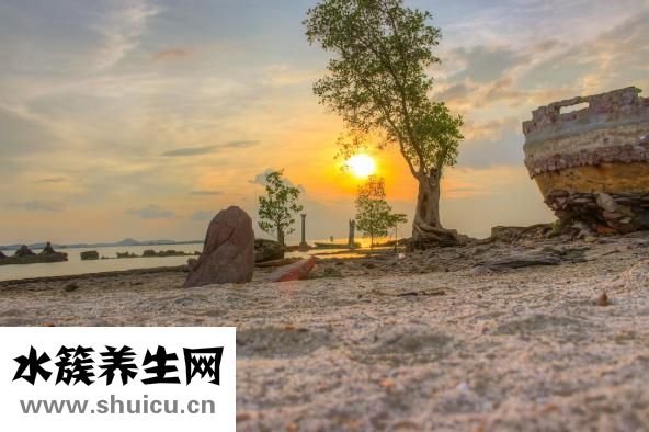 右側頸動脈斑塊