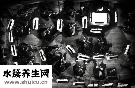 三奇堂養(yǎng)生健肝茶