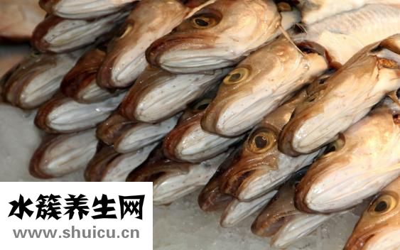 安神補(bǔ)腦藥