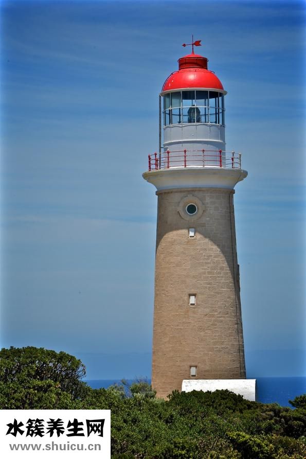 晚上睡覺出虛汗